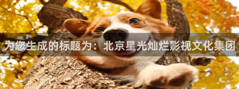 神马快播电影网