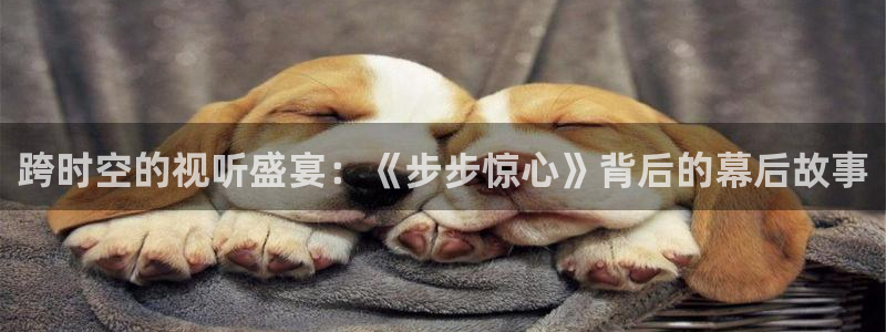 神马视频网站