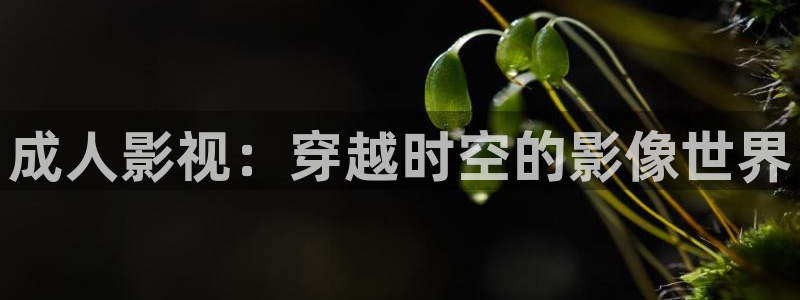 神马电影网电影院