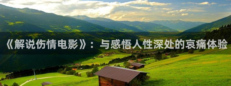 神马电影网网