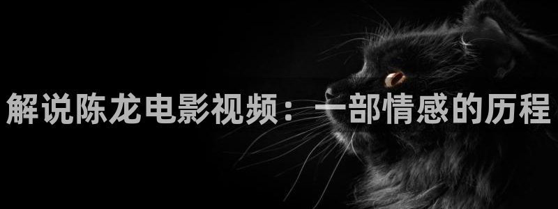 神马电影物业