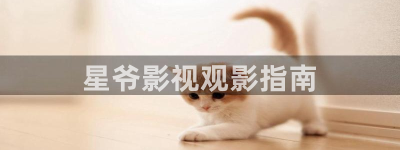 神马dy888午夜我不卡