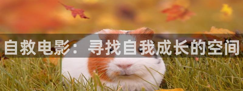 神马电影我不卡52
