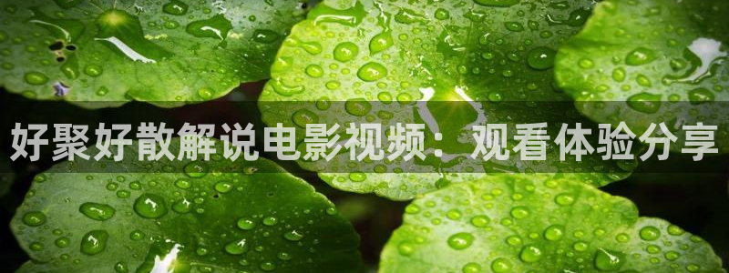 神马影院未来影