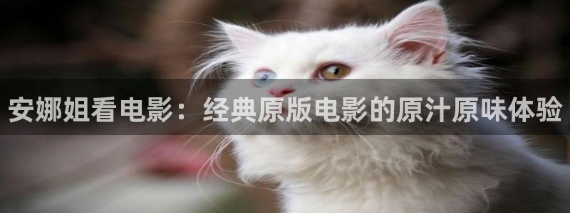 神马影院福利在线