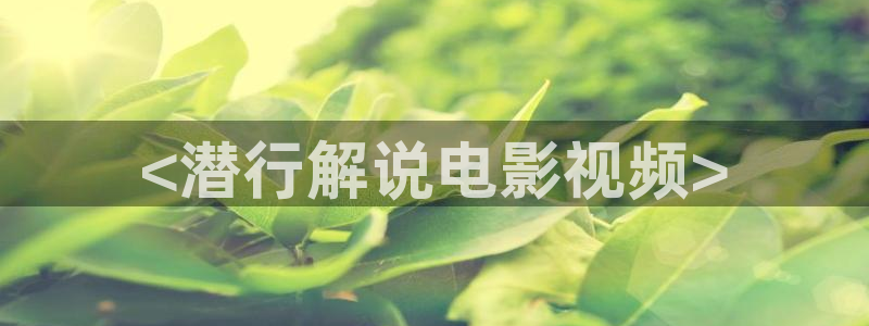 神马三级午夜伦理
