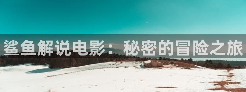 神马电影第九伦理