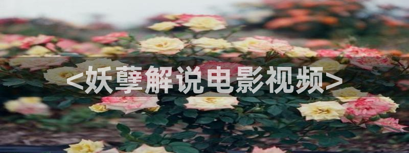 神马福利伦理影院