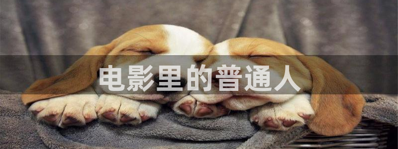 神马影院十八不禁