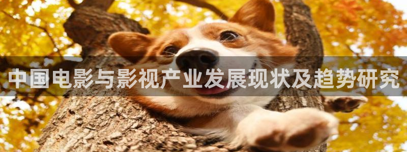 神马电影院第九超神影院