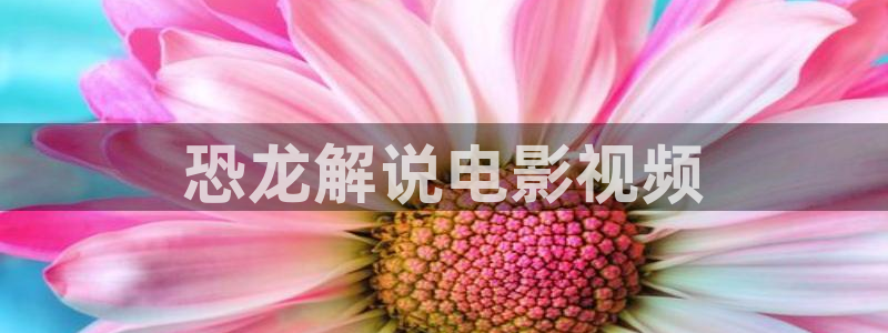 神马影院我不会卡