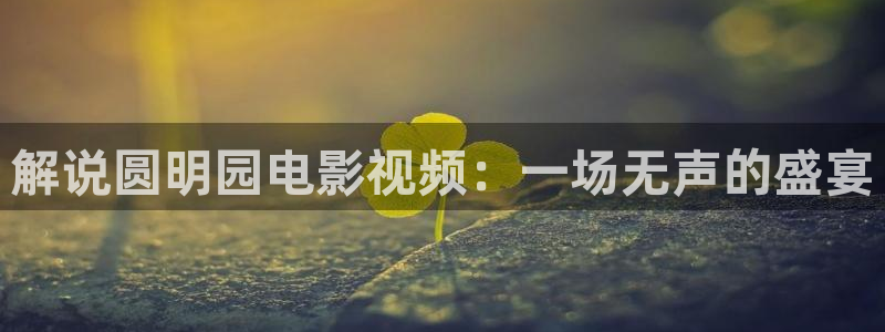 神马老子影视网