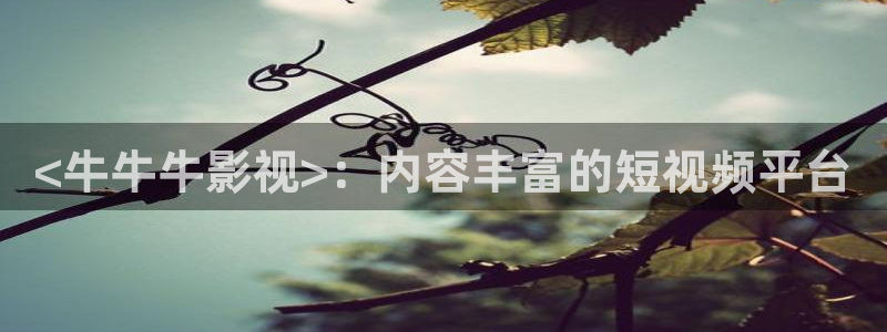 朋友的妈妈神马影院