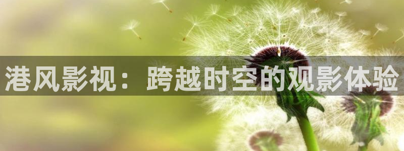 神马影院在线影院