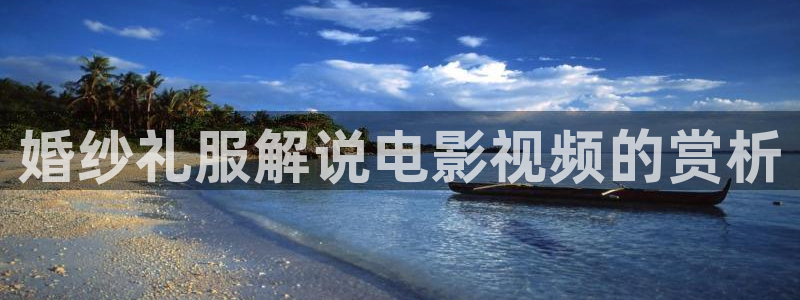神马网站伦理