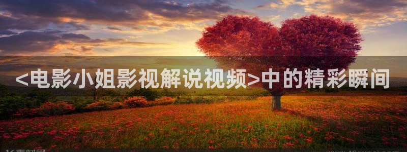 神马第九达达兔影院在线免费观看