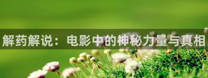 哥哥的老婆神马影院