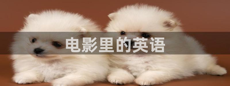 神马电影午夜达达兔