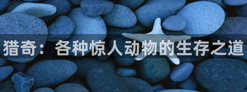 妈妈的朋友神马影院免费观看