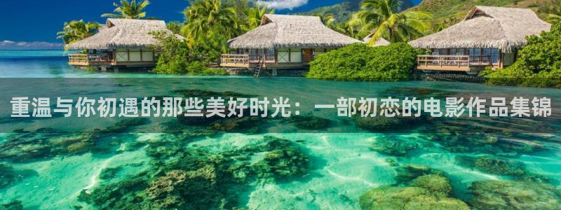 神马电影午夜伦理