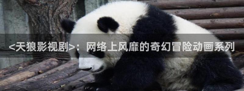 午夜片神马影院