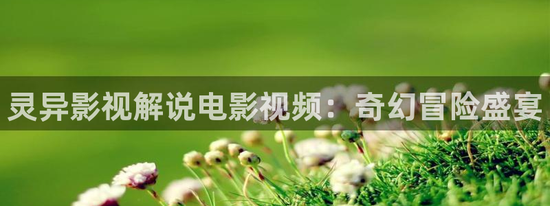 神马电影在在线观看