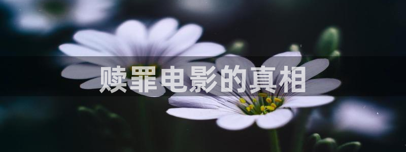 神马电影手机在线影院