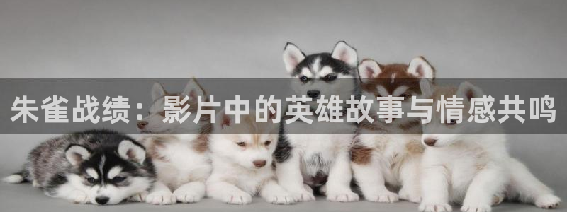 神马影院超神影院在线观看