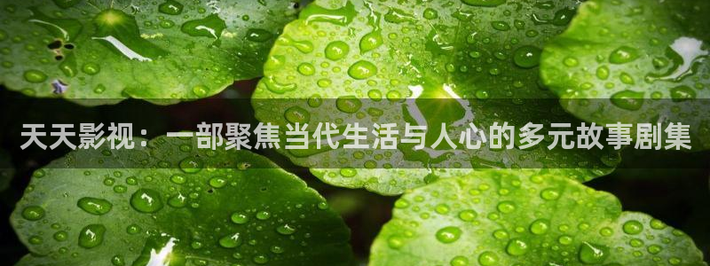 神马影院伦理福利