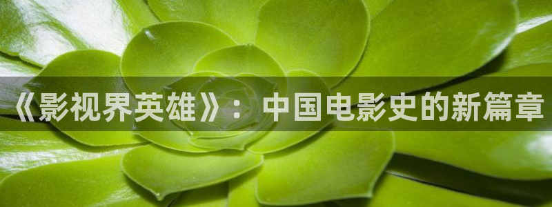 神马午夜影院在线观看视频