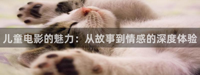 我不卡神马手机影院