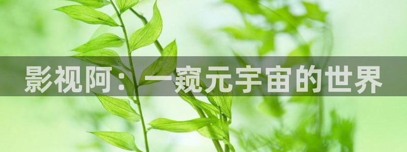 午夜神马影院免费