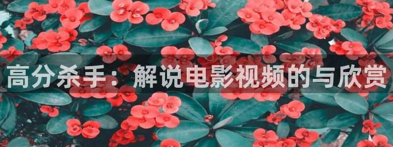 神马午夜午夜影院