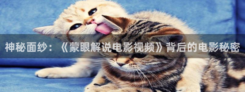 神马三级手机我不卡
