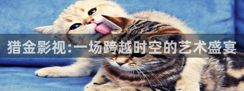 神马电影午夜场