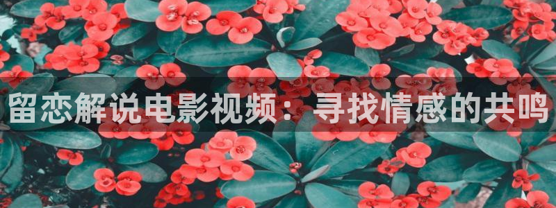 星辰影院神马