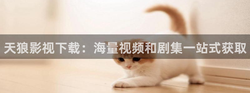 神马影院达达兔电影网