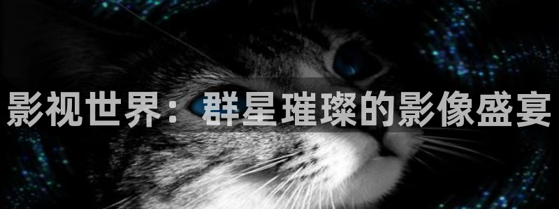 神马影院dy888午夜