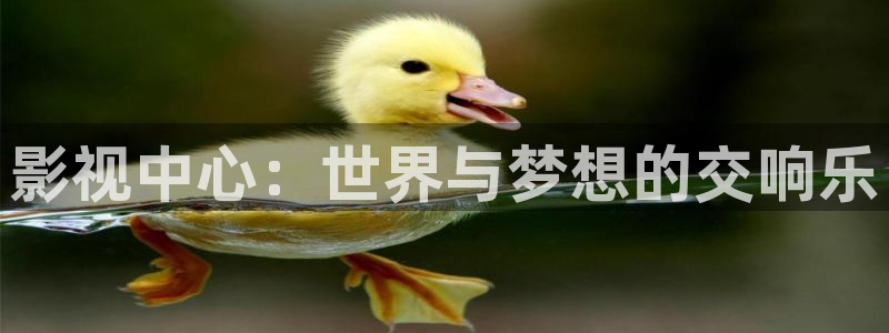 好看的神马电影