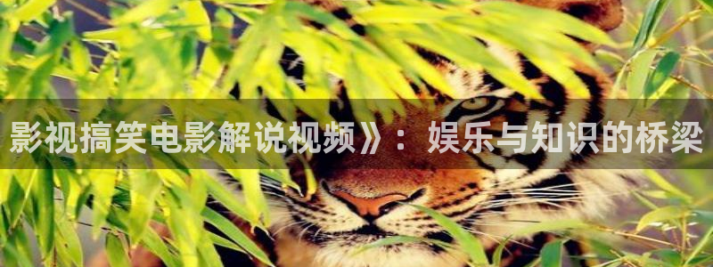 神马电影院神马电影院
