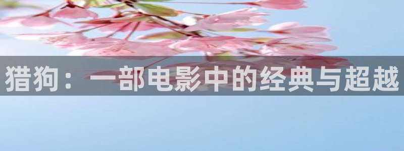 神马影院不伦