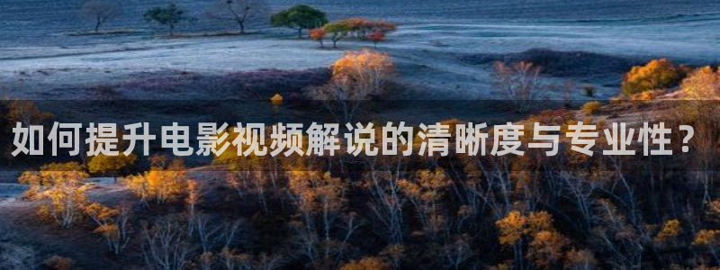 神马影视电视剧